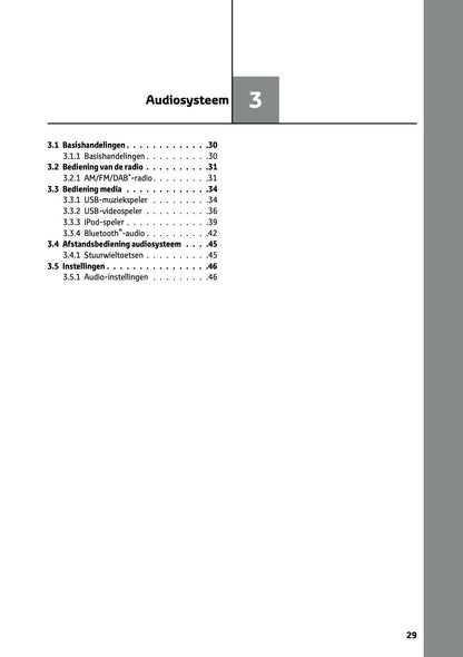 2023-2024 Toyota RAV4/RAV4 Hybrid Multi Media Handleiding | Nederlands