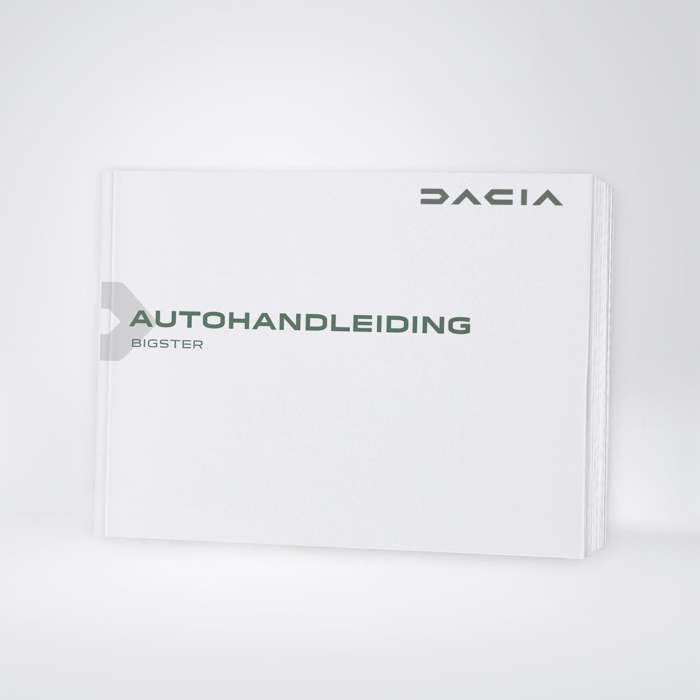 2024-2025 Dacia Bigster Owner's Manual | Dutch