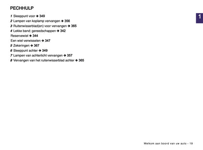 2024-2025 Dacia Bigster Owner's Manual | Dutch