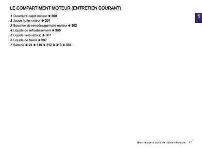 2024-2025 Dacia Duster Manuel du propriétaire | Français
