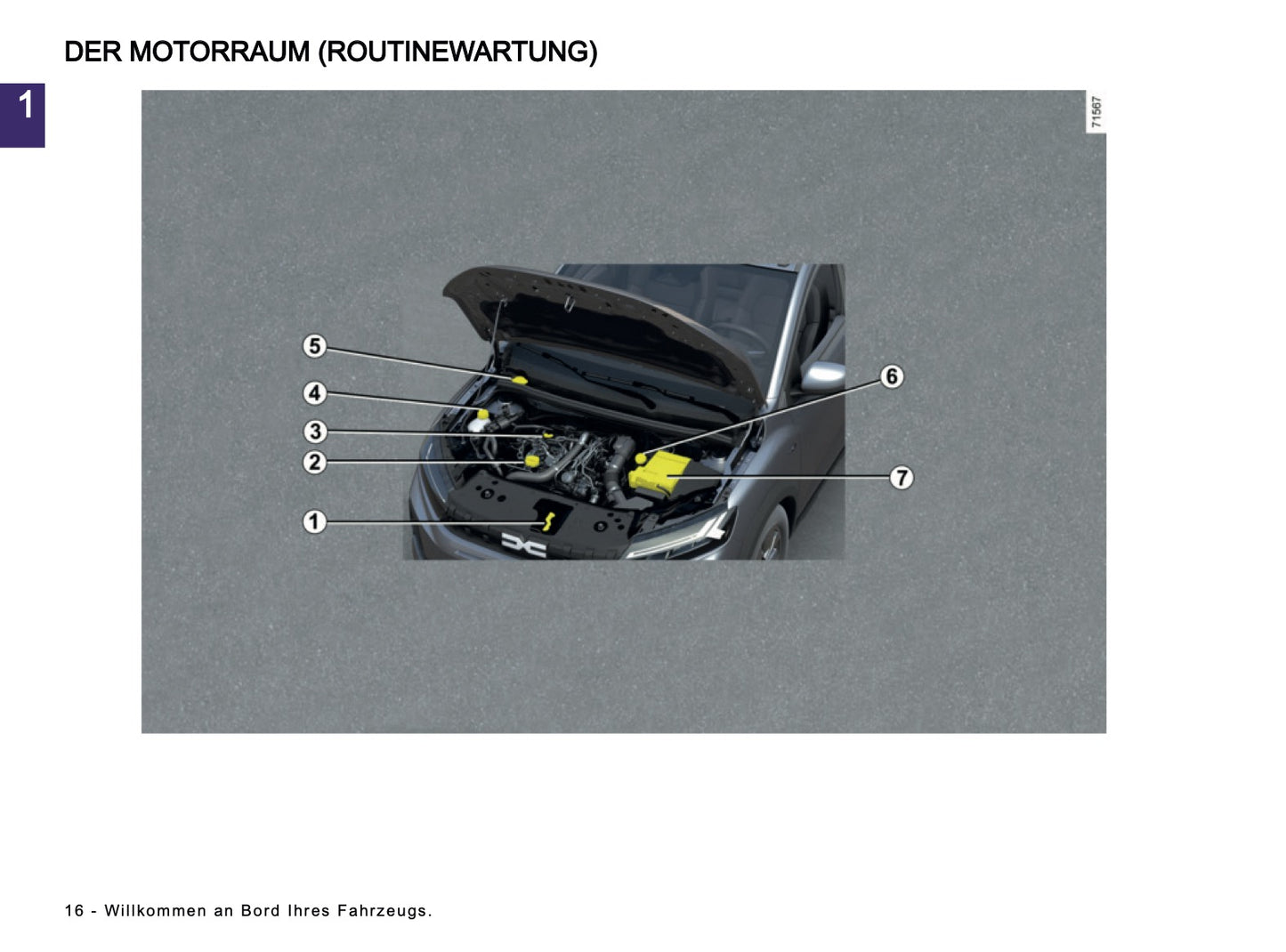 2025-2026 Dacia Sandero/Sandero Stepway Owner's Manual | German
