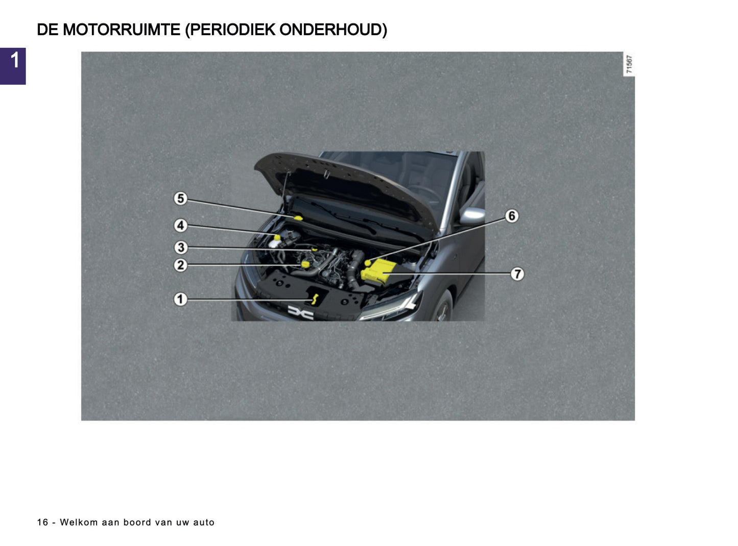 2025-2026 Dacia Sandero/Sandero Stepway Gebruikershandleiding | Nederlands
