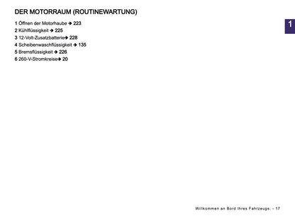 2024-2025 Dacia Spring Electric Owner's Manual | German
