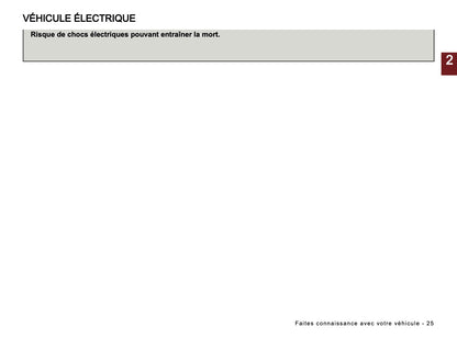 2024-2025 Dacia Spring Electric Manuel du propriétaire | Français