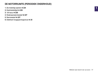 2026 Dacia Spring Electric Gebruikershandleiding | Nederlands