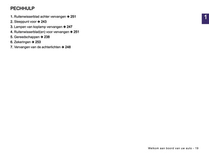 2026 Dacia Spring Electric Gebruikershandleiding | Nederlands