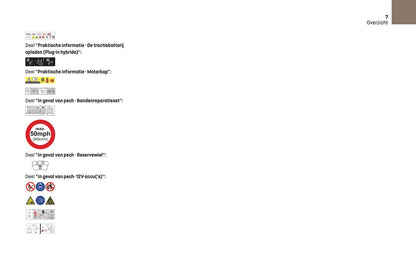 2023-2025 DS Automobiles DS 7 Owner's Manual | Dutch