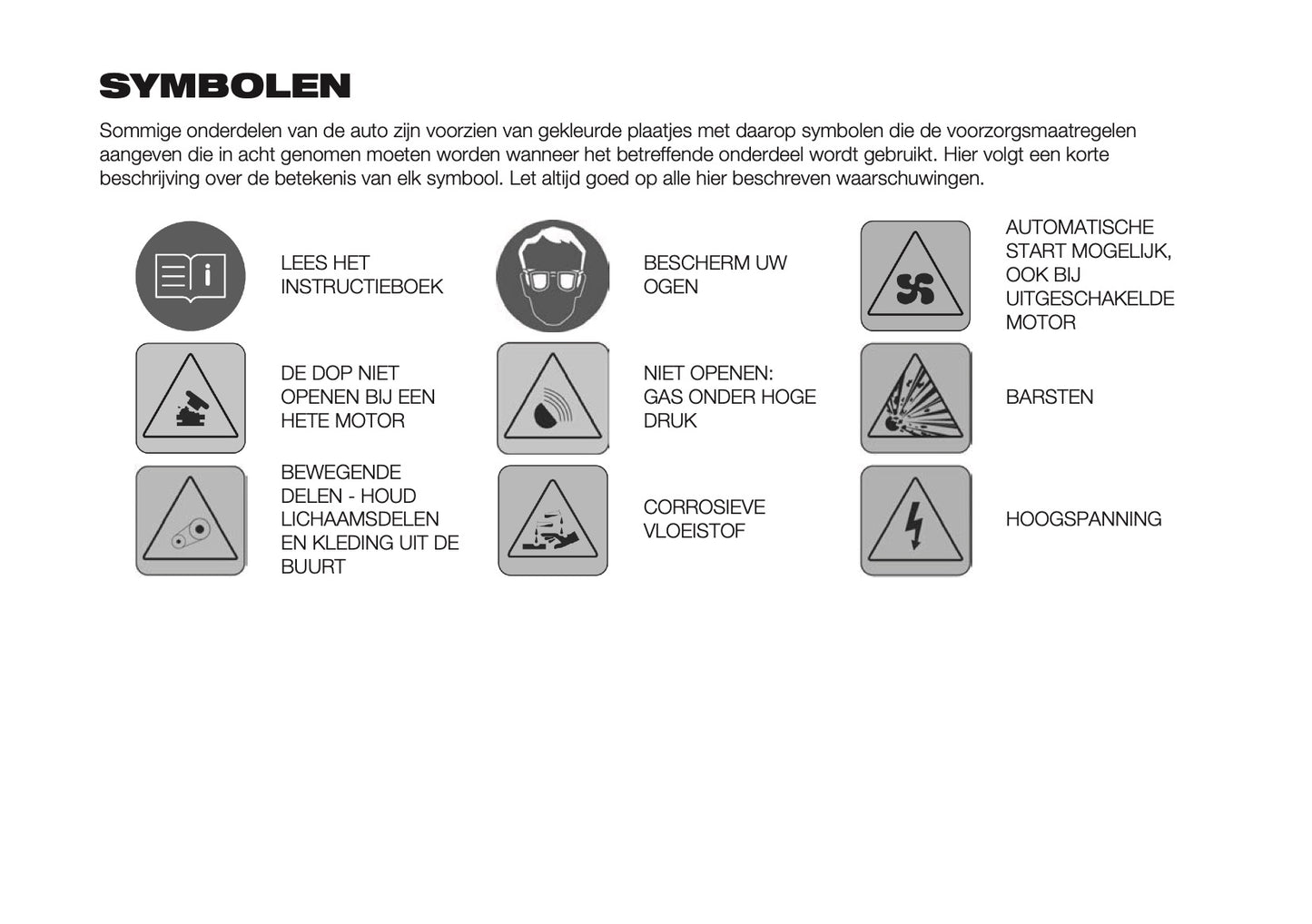 2024-2025 Fiat 600 Owner's Manual | Dutch
