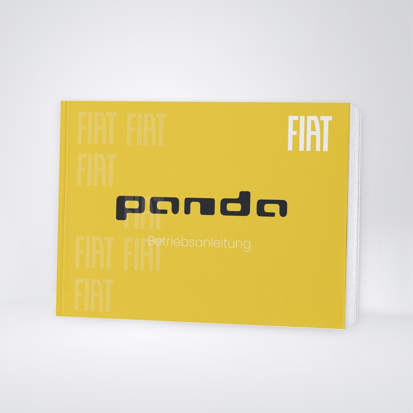 2026 Fiat Panda/Pandina Owner's Manual | German