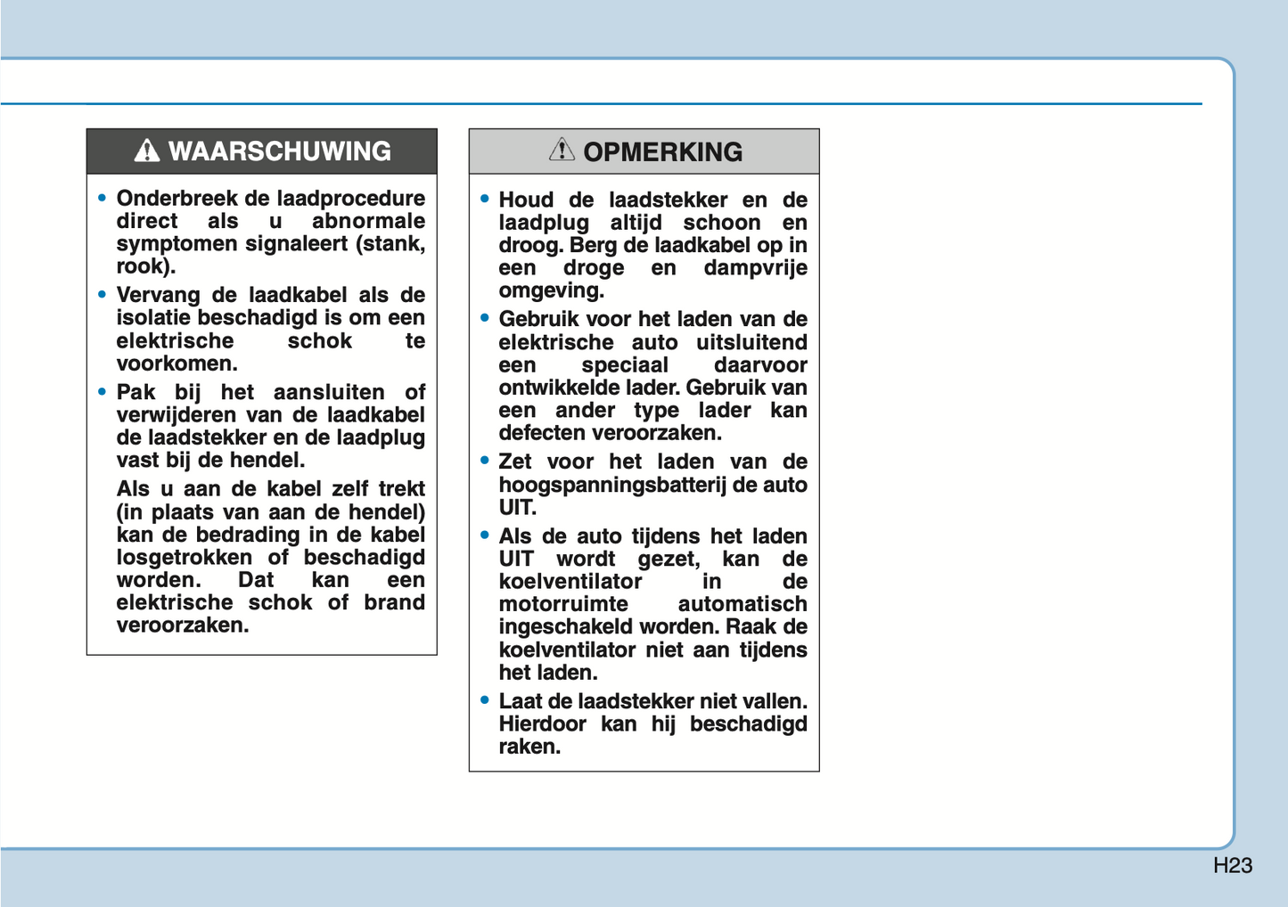 2020-2021 Hyundai Ioniq Electric Owner's Manual | Dutch