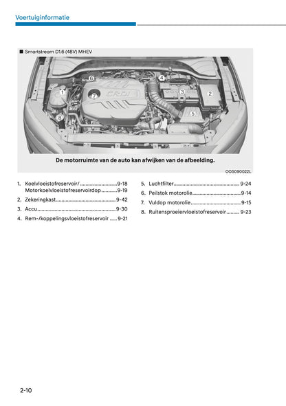 2021 Hyundai Kona Gebruikershandleiding | Nederlands