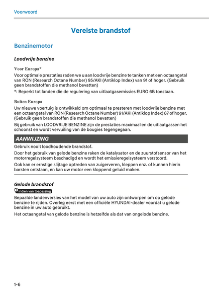 2024-2025 Hyundai Santa Fe Hybrid/Plug-in-Hybrid Gebruikershandleiding | Nederlands