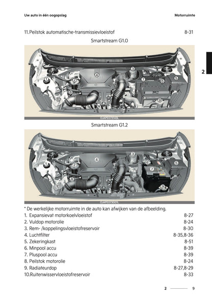 2024-2025 Kia Picanto Gebruikershandleiding | Nederlands