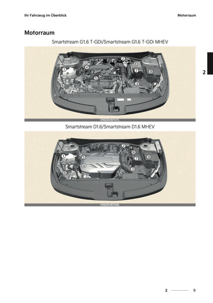 2024-2025 Kia Sportage Owner's Manual | German