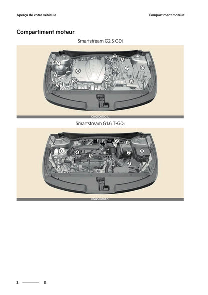 2025-2026 Kia Sportage Owner's Manual | French