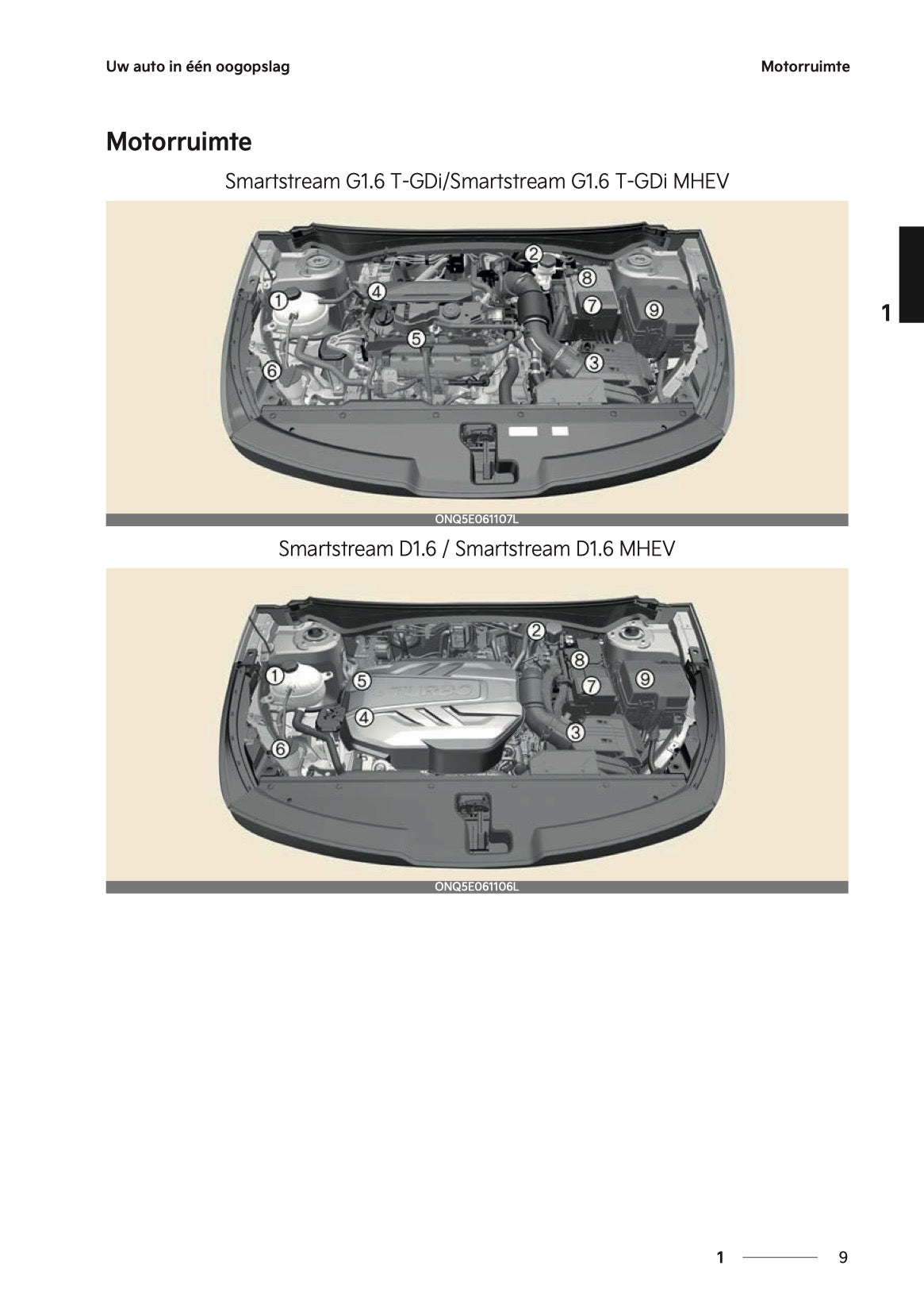 2024-2025 Kia Sportage Gebruikershandleiding | Nederlands