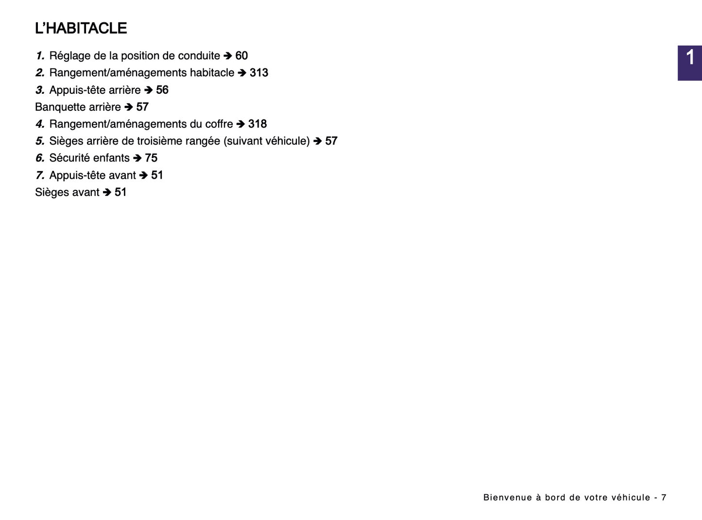 2024-2025 Renault Espace Owner's Manual | French