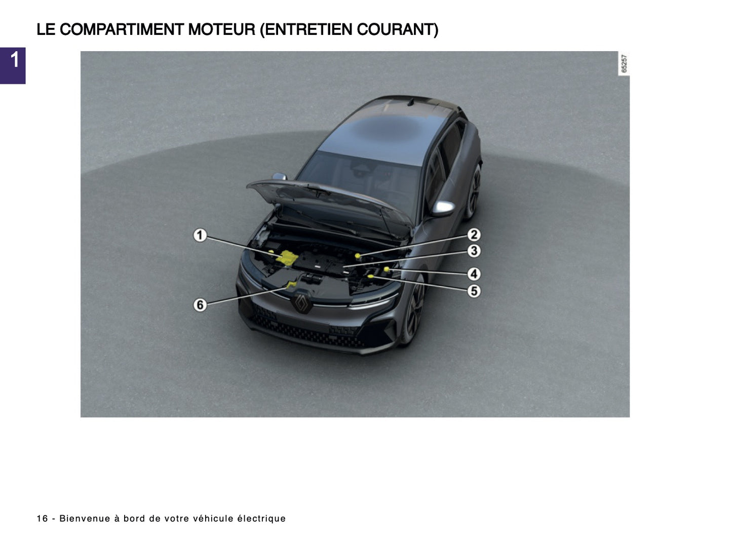 2024-2025 Renault Megane E-Tech Manuel du propriétaire | Français