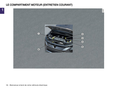 2024-2025 Renault Scenic E-Tech Manuel du propriétaire | Français