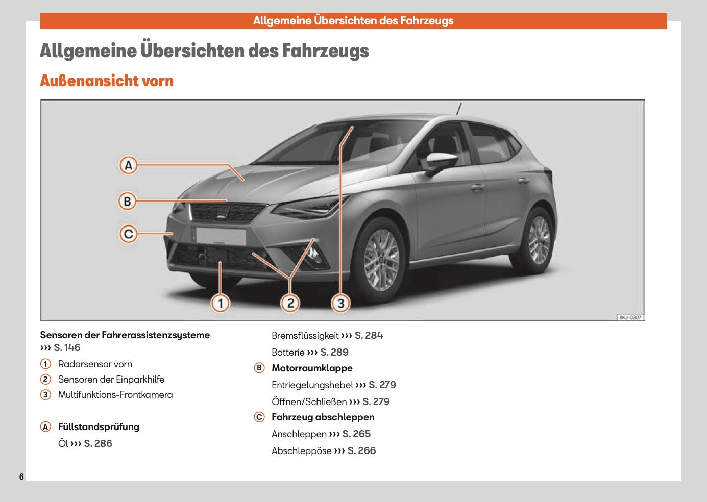 2025 Seat Ibiza Owner's Manual | German