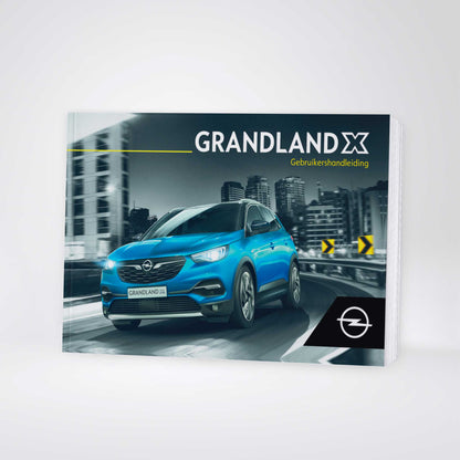 2019 Opel Grandland X Owner's Manual | Dutch