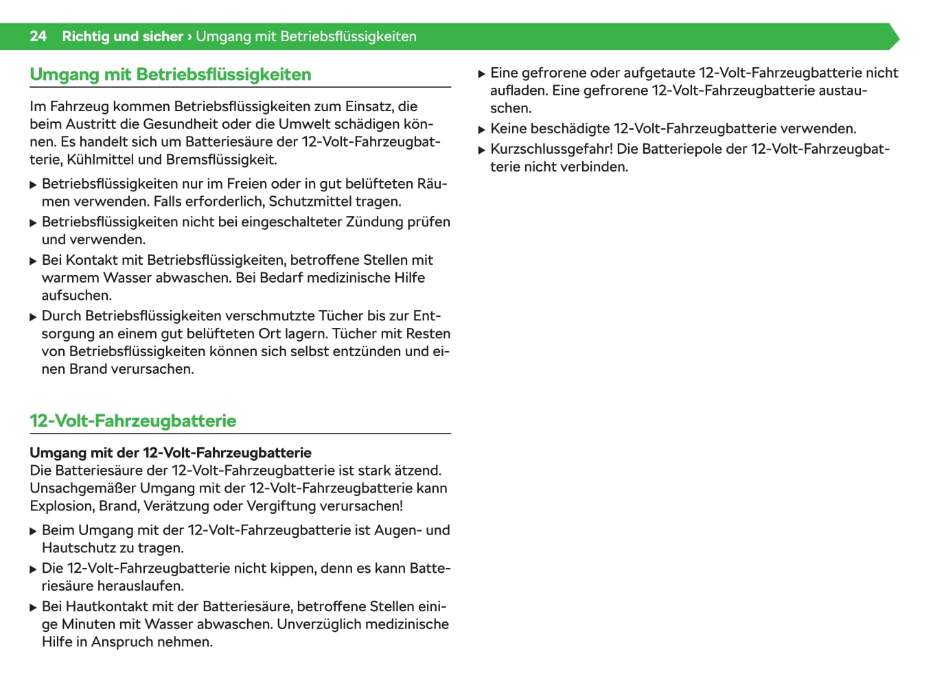 2020-2021 Skoda Enyaq iV Gebruikershandleiding | Duits