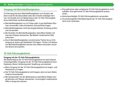 2020-2021 Skoda Enyaq iV Gebruikershandleiding | Duits