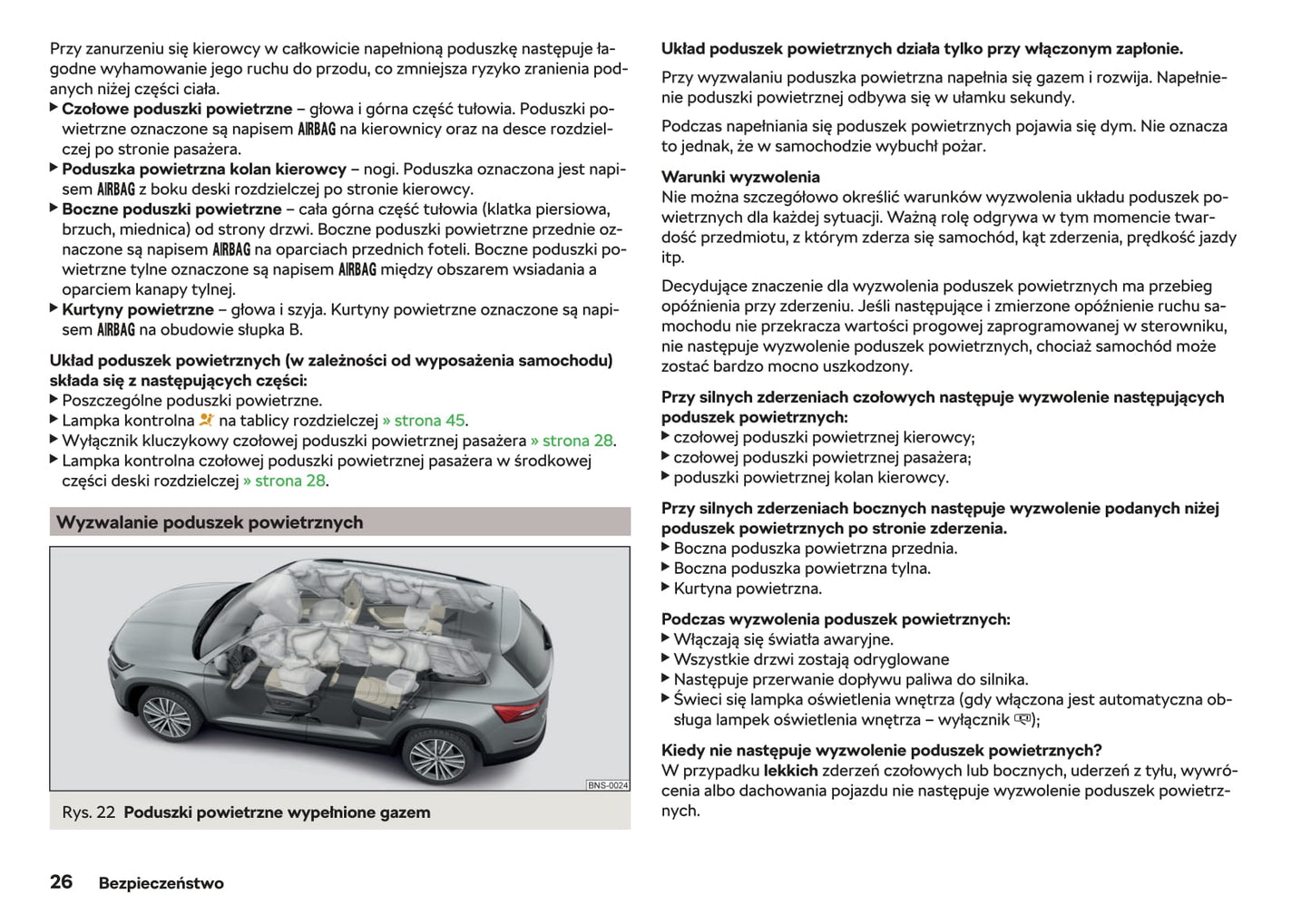 2018-2019 Skoda Karoq Owner's Manual | Polish