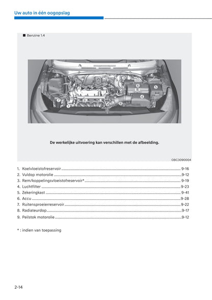 2021-2022 Hyundai i20 Owner's Manual | Dutch