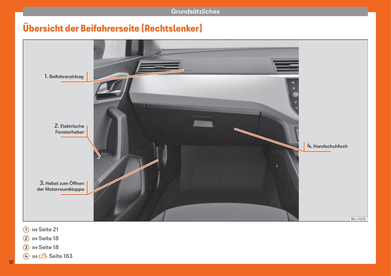 2017-2021 Seat Ibiza Owner's Manual | German