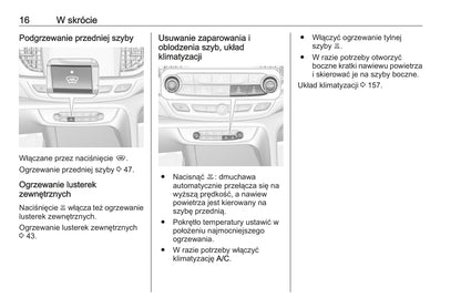 2020 Opel Insignia Owner's Manual | Polish