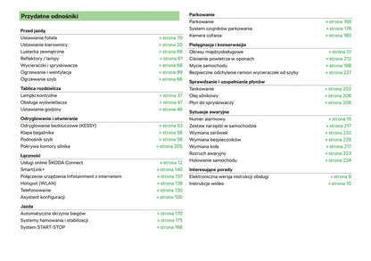 2018-2019 Skoda Rapid Spaceback Gebruikershandleiding | Pools