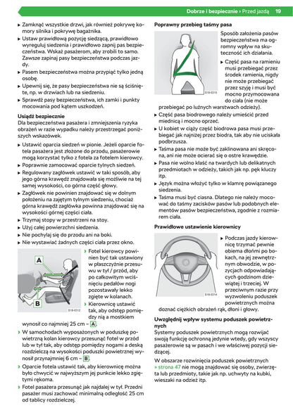 2020 Skoda Octavia Owner's Manual | Polish