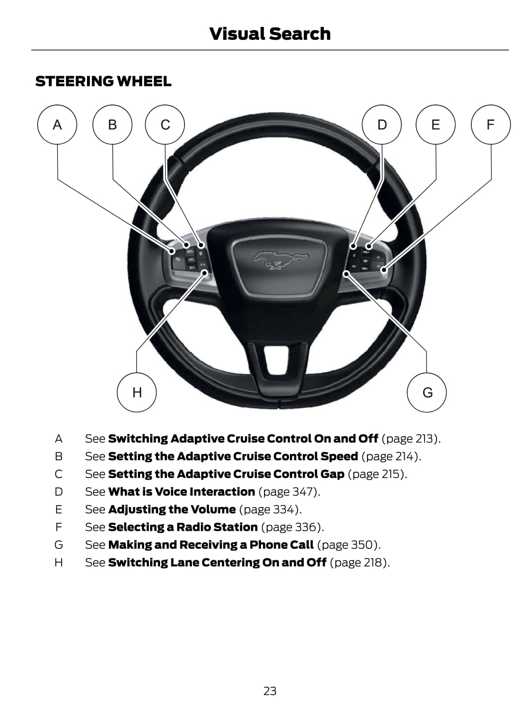 2021 Ford Mustang Mach-E Owner's Manual | English