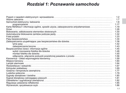 2018-2019 Renault Zoe Gebruikershandleiding | Pools