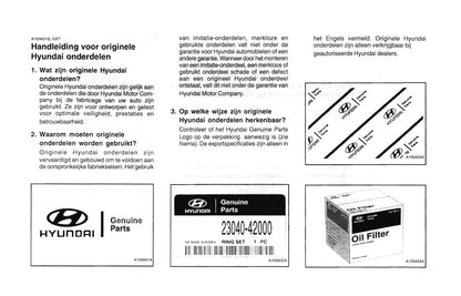 2000-2001 Hyundai H-1 Gebruikershandleiding | Nederlands