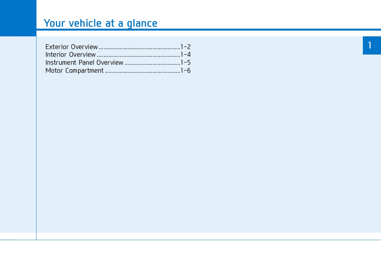 2018 Hyundai Ioniq Electric Owner's Manual | English